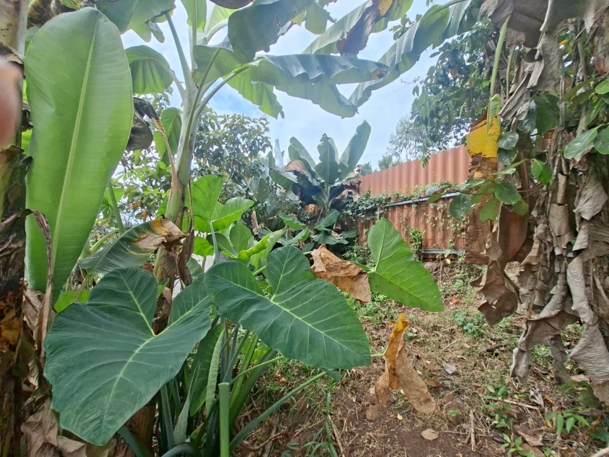 Venta de lote en Cerro Azul Ciudad de Panamá