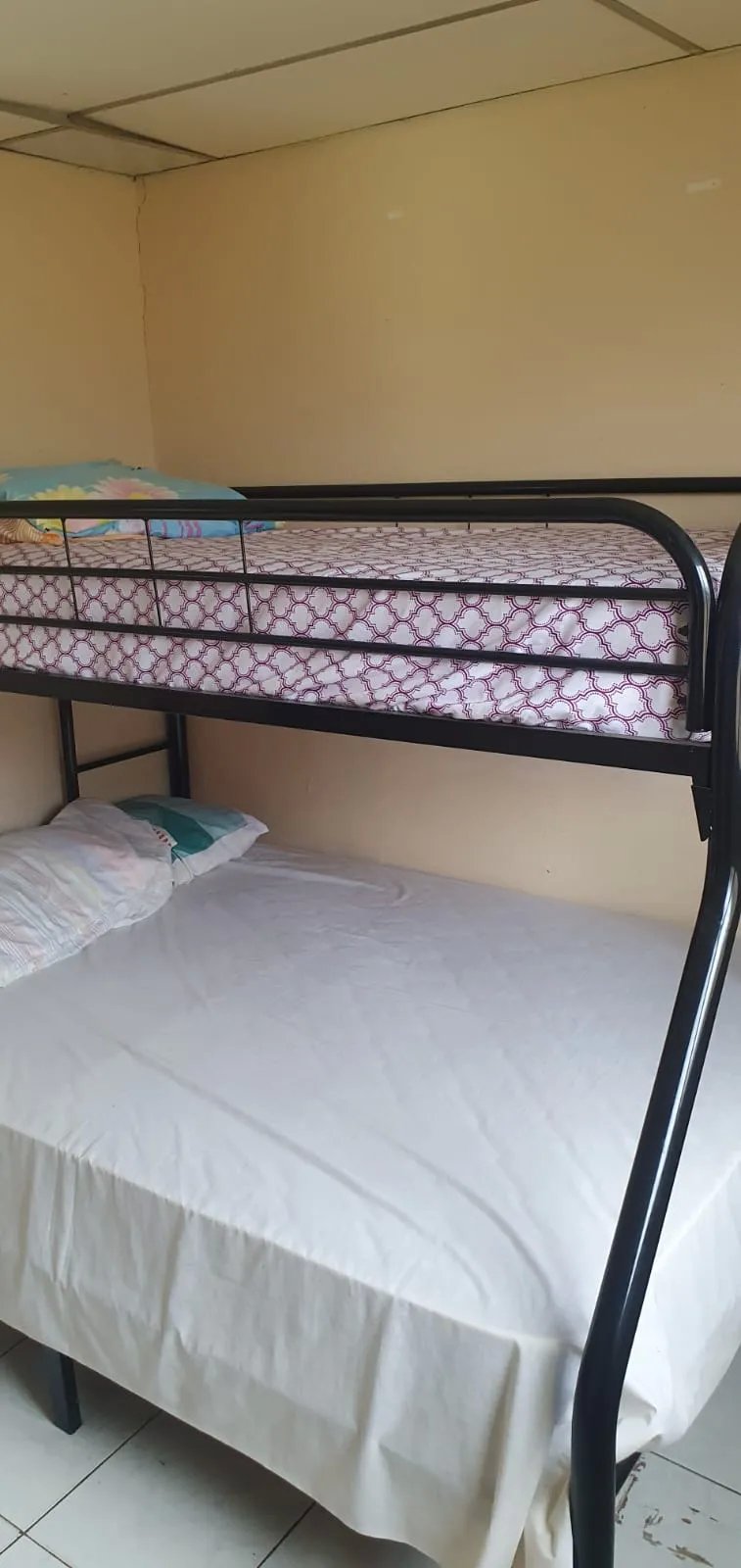 House for rent in Varital David