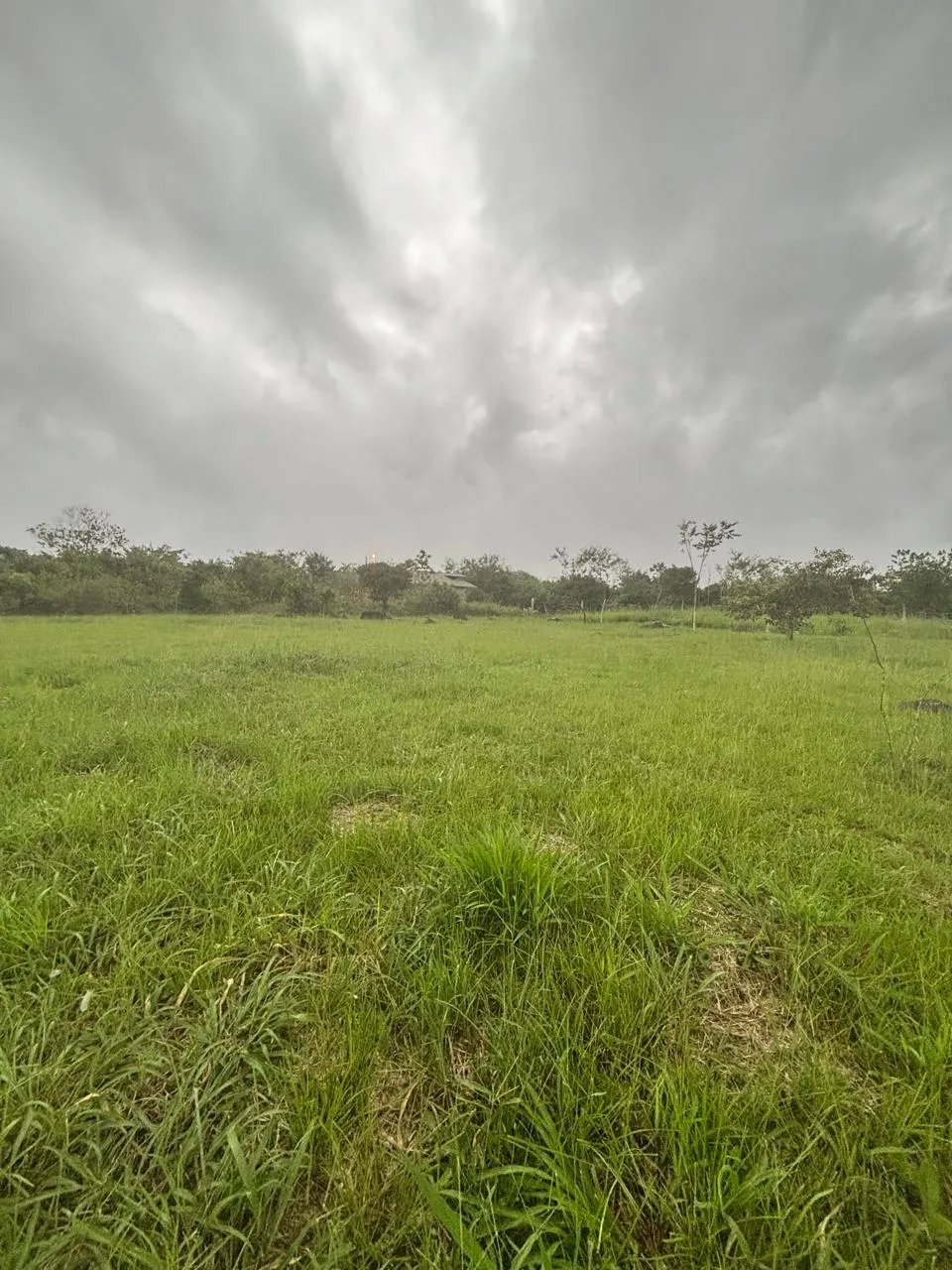Lote en Venta en Potrerillos Chiriqui