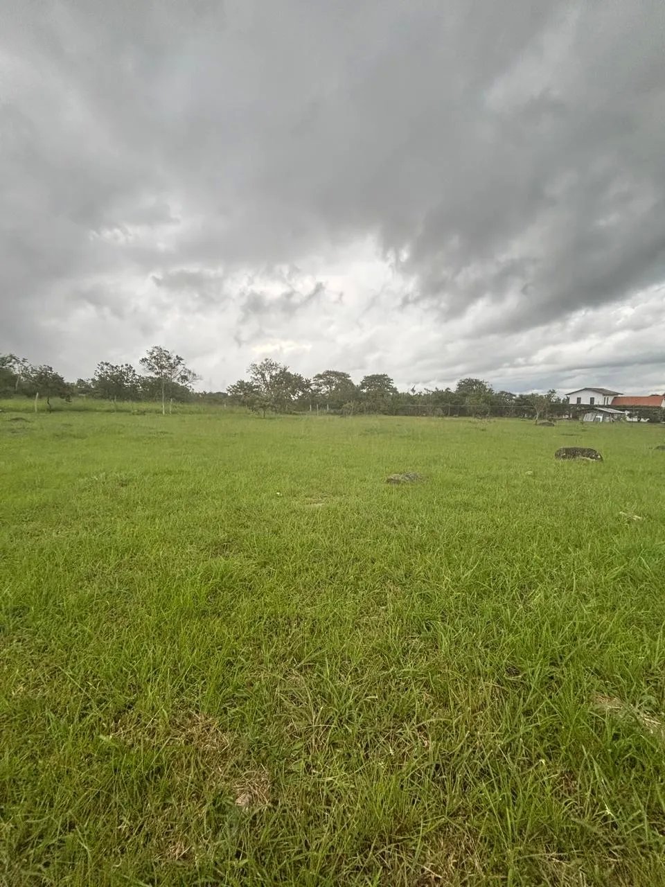 Lot for Sale in Potrerillos Chiriqui