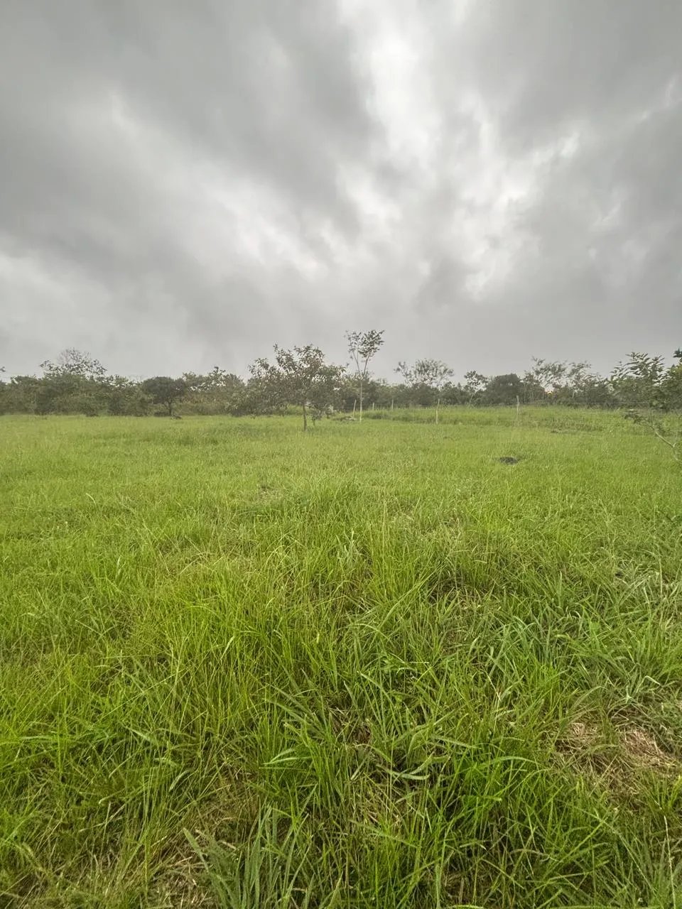 Lot for Sale in Potrerillos Chiriqui