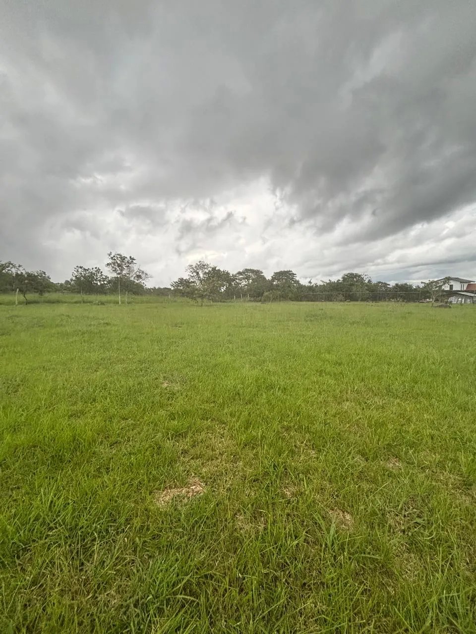 Lot for Sale in Potrerillos Chiriqui