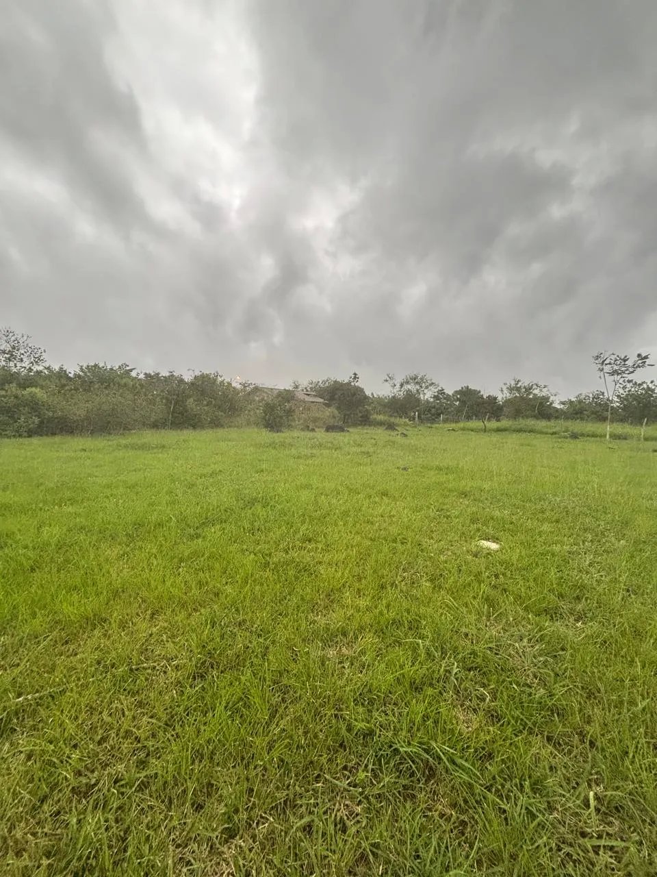 Lot for Sale in Potrerillos Chiriqui