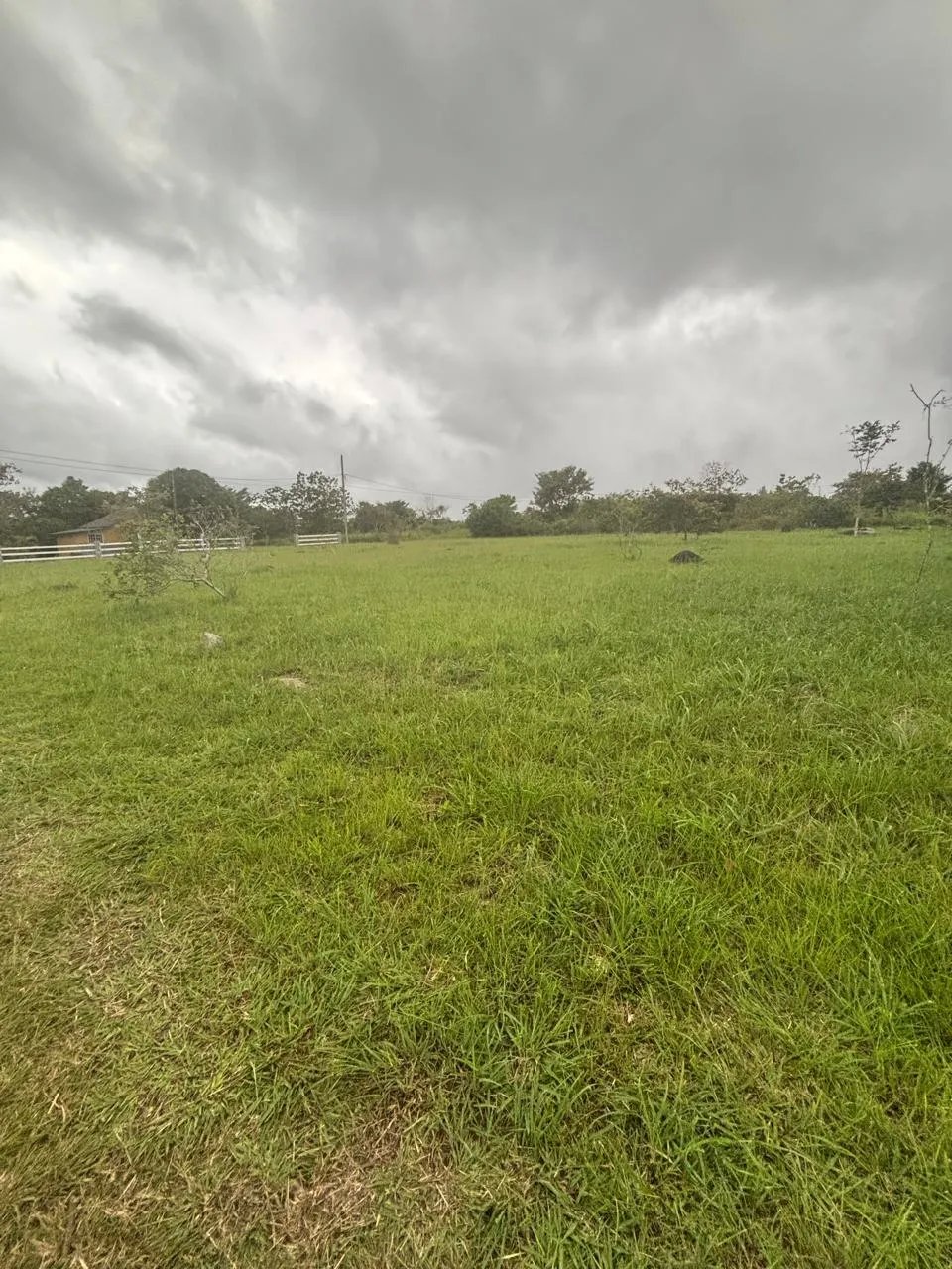Lot for Sale in Potrerillos Chiriqui