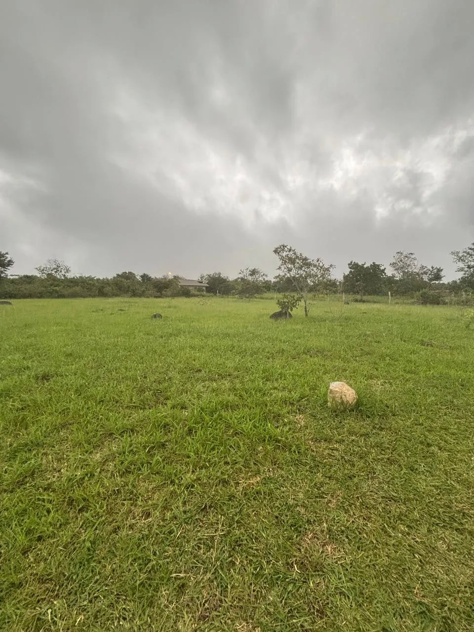 Lot for Sale in Potrerillos Chiriqui