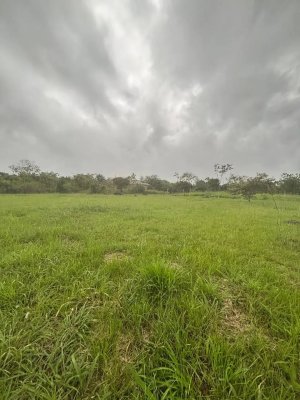 Lot for Sale in Potrerillos Chiriqui