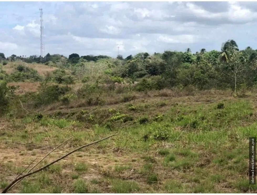 Venta de Terreno en Rio Hato
