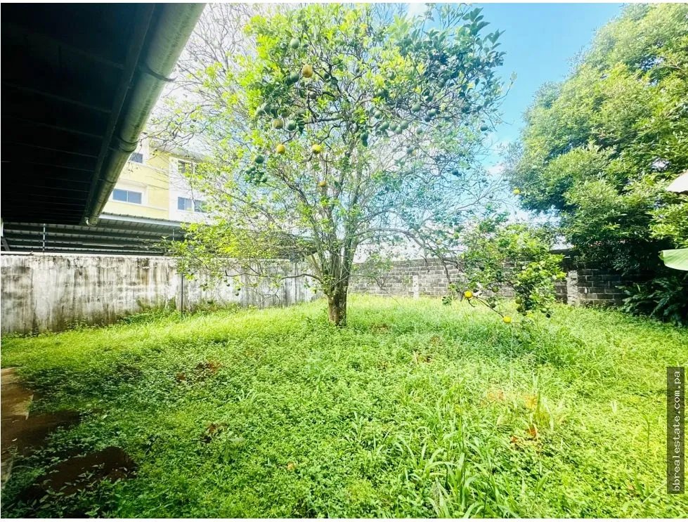 Venta de casa comercial en David, Doleguita