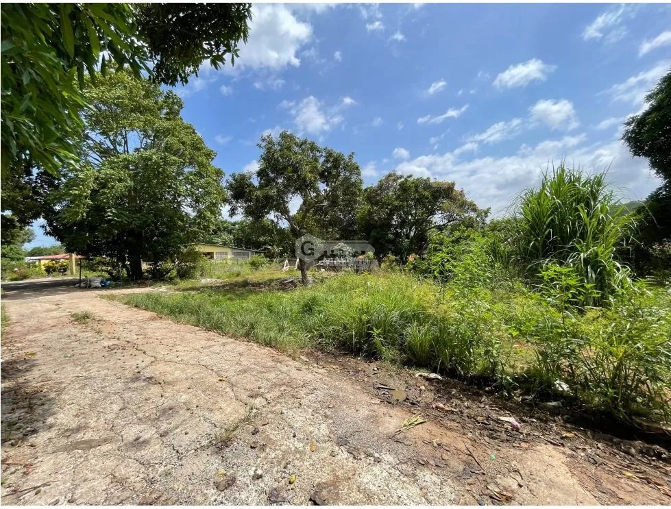 SE VENDE TERRENO EN CHORRERA LLANO LARGO 6897 M2 SOBRE VIA ASFALTADA