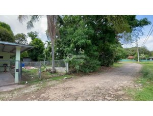 SE VENDE TERRENO EN CHORRERA LLANO LARGO 6897 M2 SOBRE VIA ASFALTADA