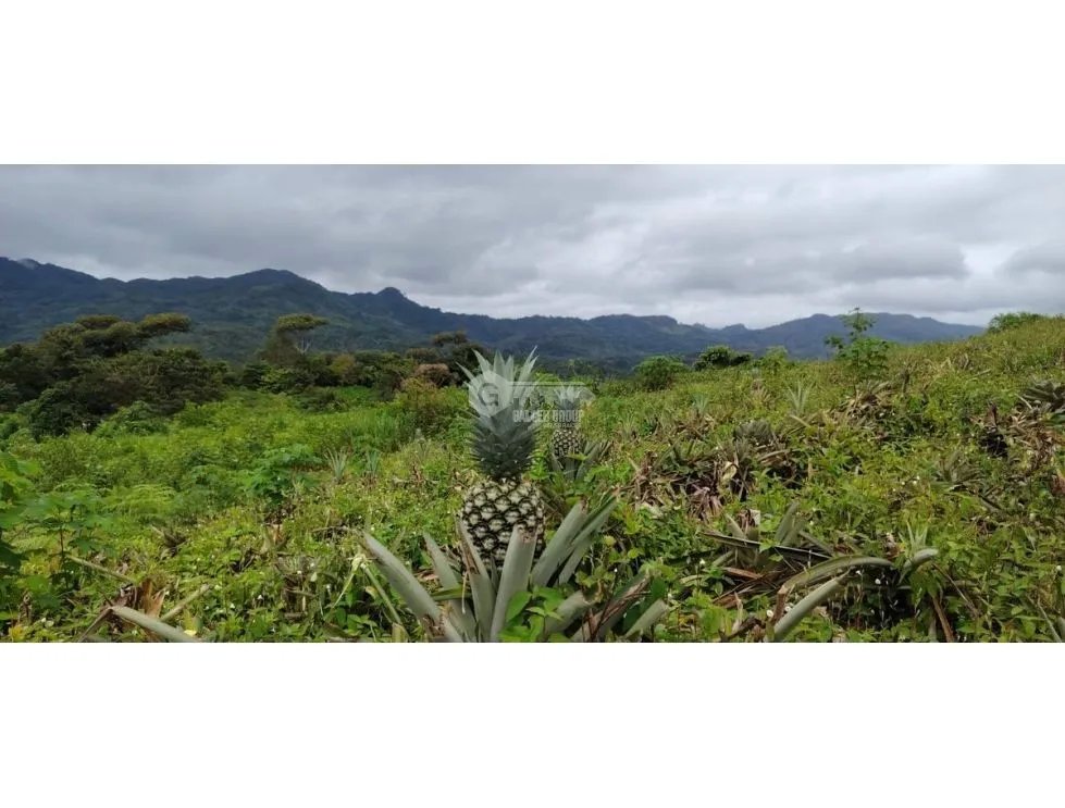 Land/Farm for sale in Capira