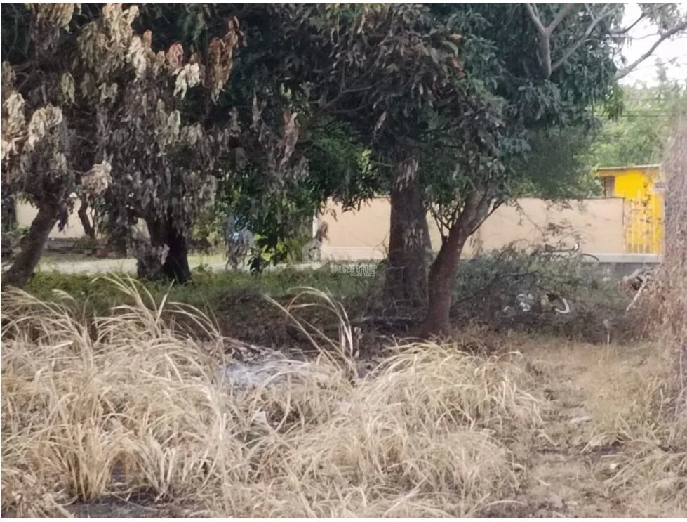 SE VENDE TERRENO EN COCLE 2400 M2 PLANO VIA ASFALTADA