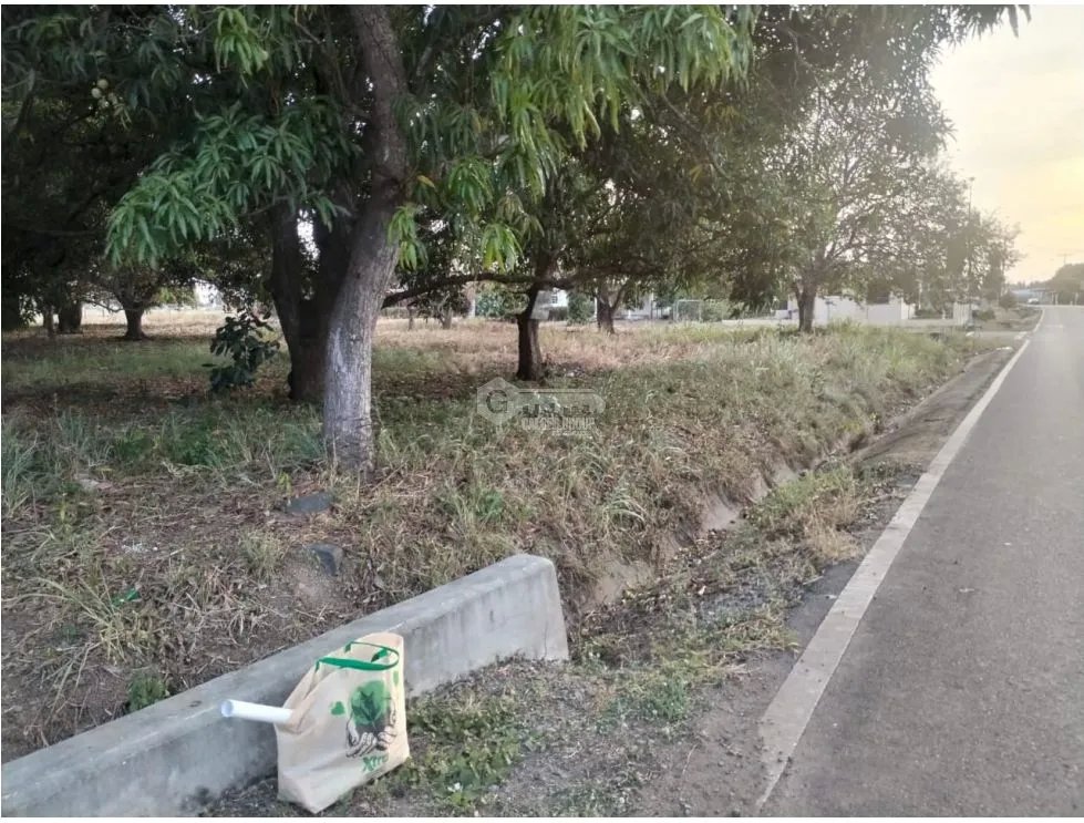 TERRENO / COCLE / AGUADULCE / 2400 M2 / PLANO / VIA ASFALTADA
