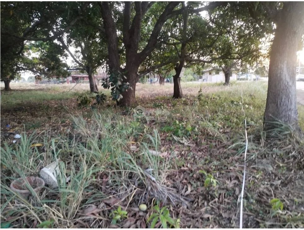 TERRENO / COCLE / AGUADULCE / 2400 M2 / PLANO / VIA ASFALTADA