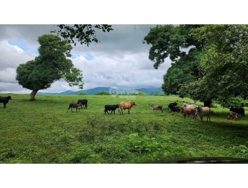 Building Lot for sale in Chepo