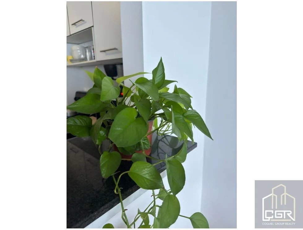 Venta de Apartamento Vacío en Ave. Balboa, Panamá