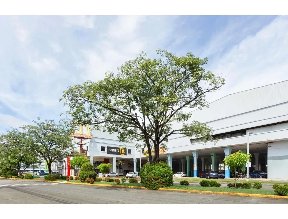 Alquiler de locales comerciales en Plaza Agora, Chanis, Panamá