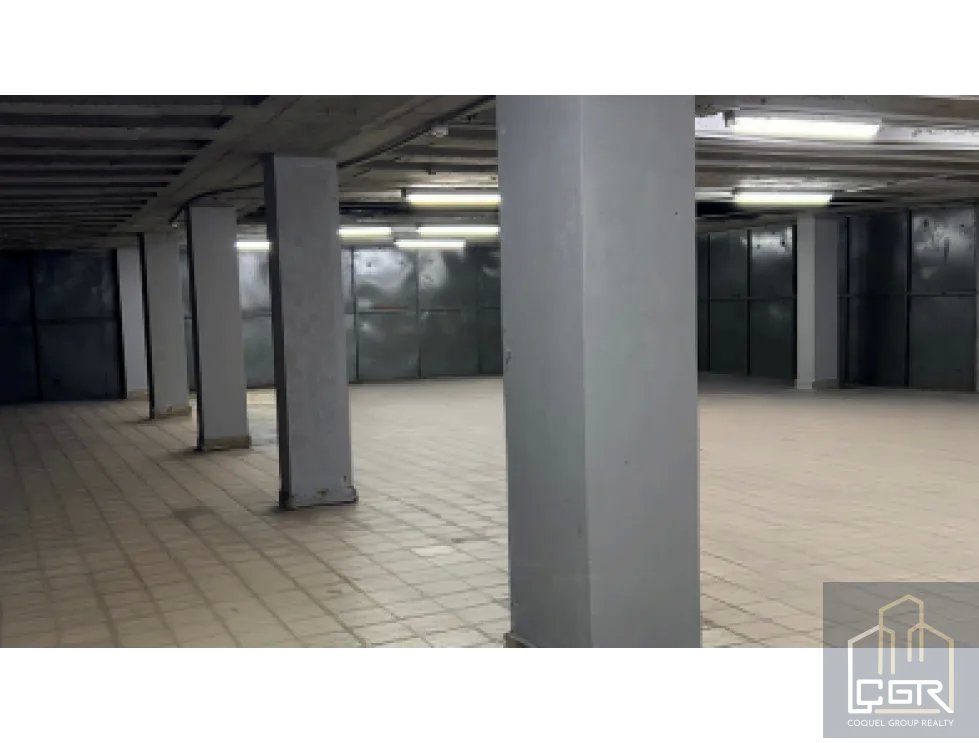 Warehouse for rent in Calidonia