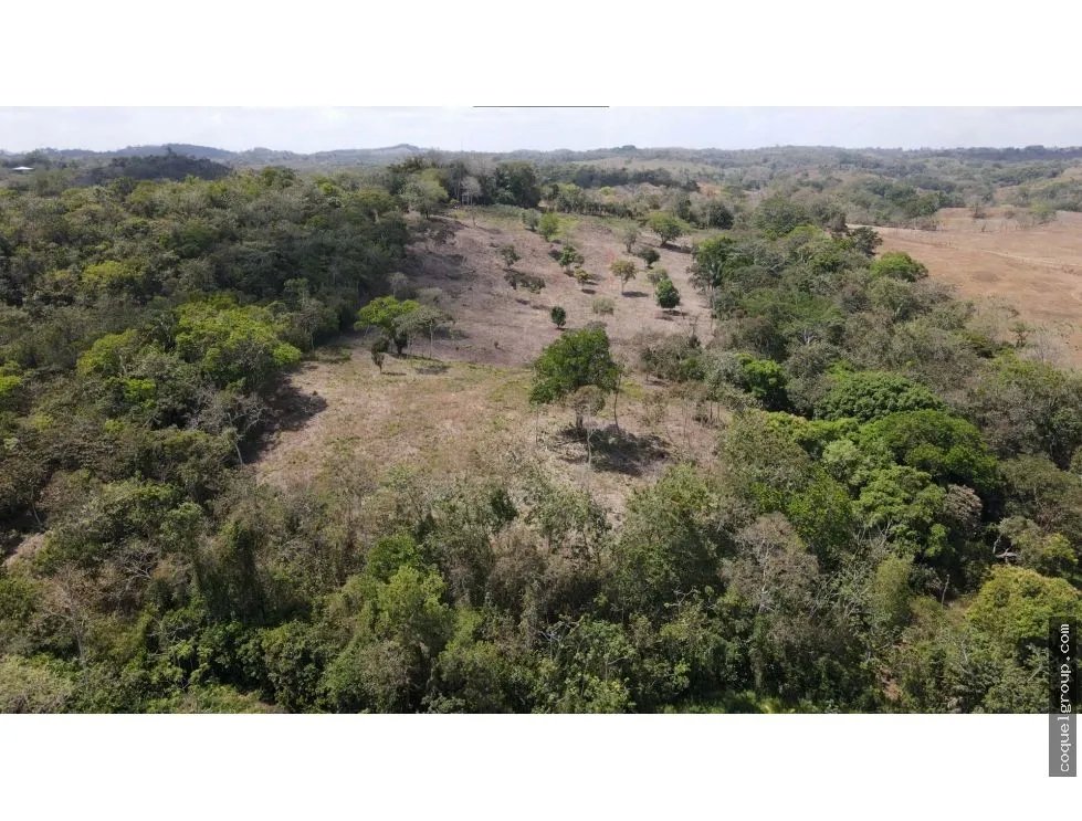 Land/Farm for sale in Chorrera