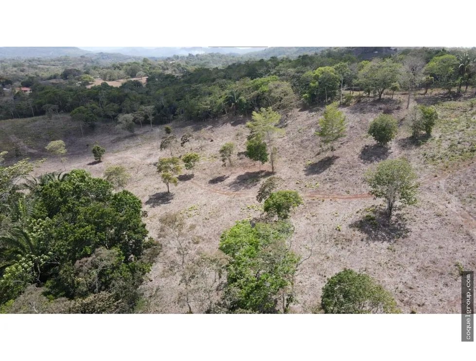 Land/Farm for sale in Chorrera