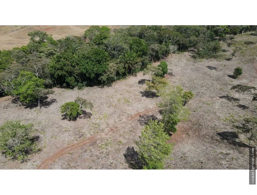 VENTA DE FINCA  SANTA RITA, LA CHORRERA