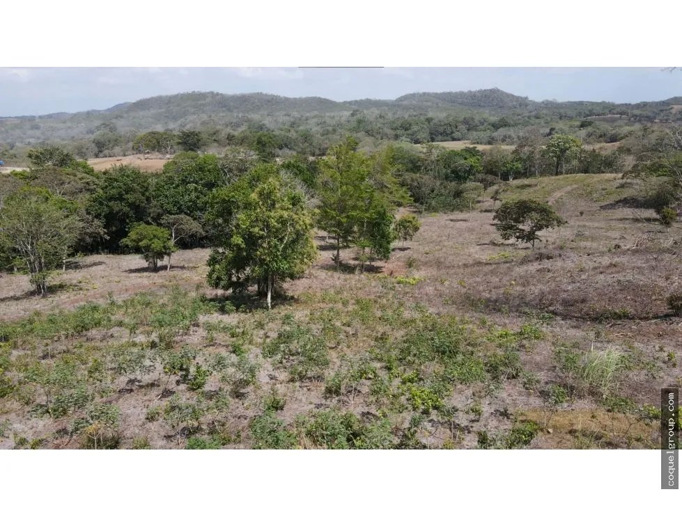 VENTA DE FINCA  SANTA RITA, LA CHORRERA