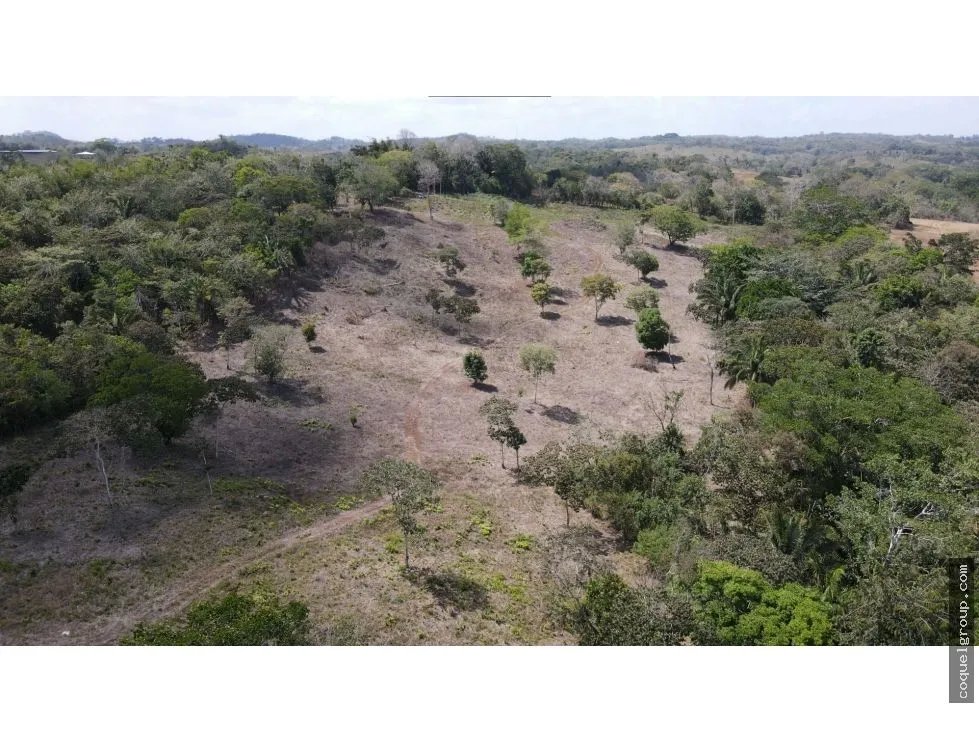 VENTA DE FINCA  SANTA RITA, LA CHORRERA