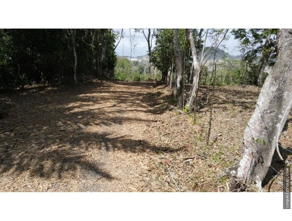 VENTA DE FINCA  SANTA RITA, LA CHORRERA