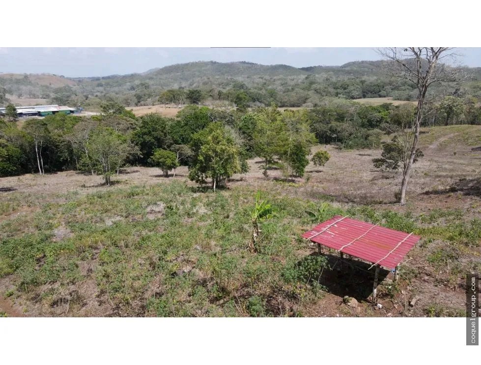 VENTA DE FINCA  SANTA RITA, LA CHORRERA