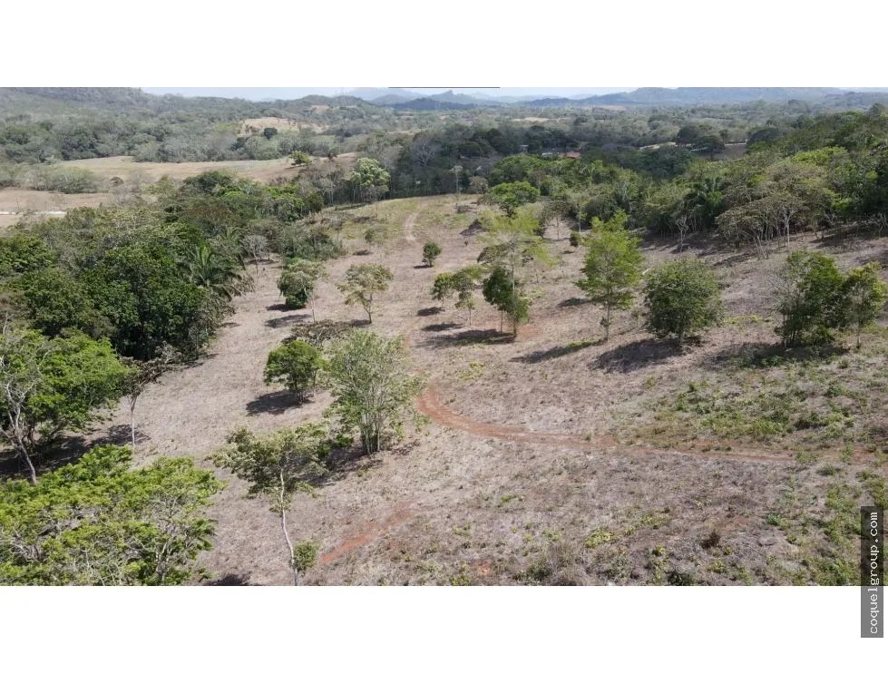 VENTA DE FINCA  SANTA RITA, LA CHORRERA