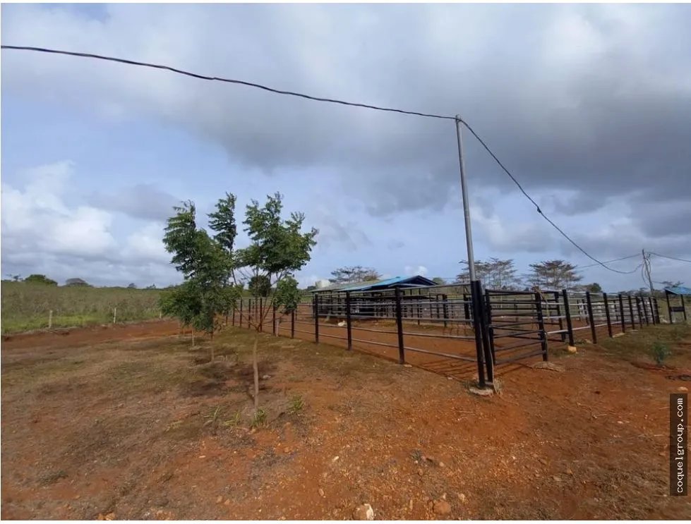 VENTA DE FINCA AGROPECUARIA , LA ATENEA ,AROSEMENA DE LA CHORRERA