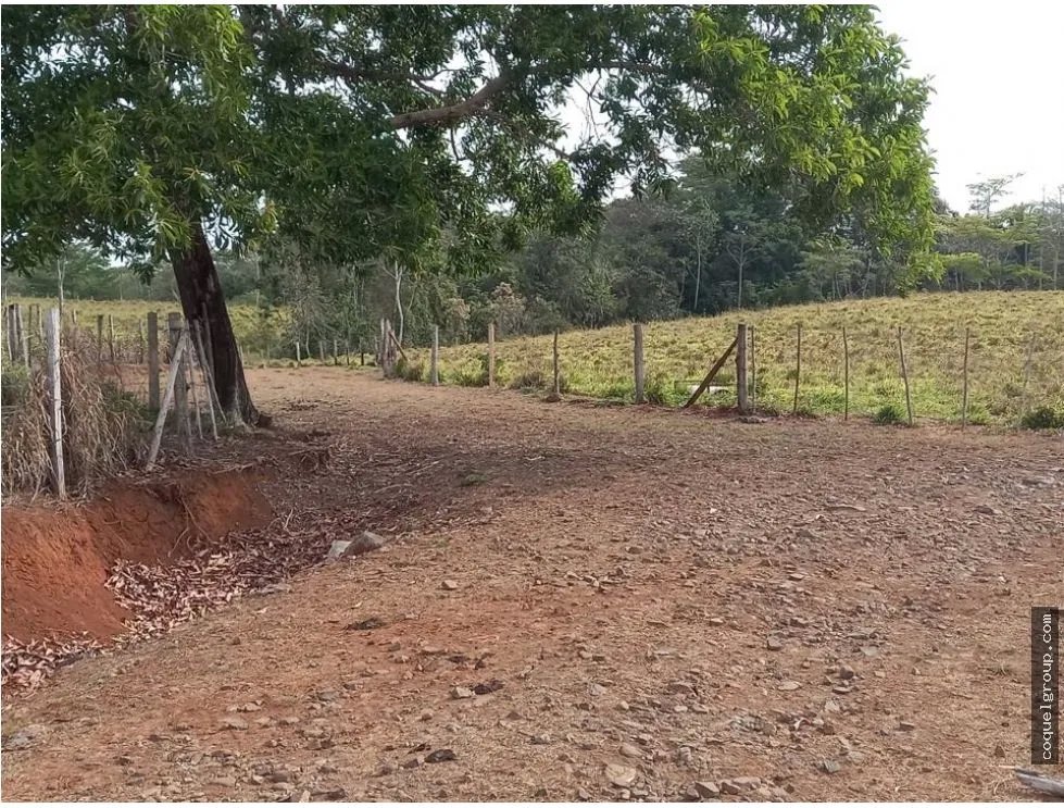 VENTA DE FINCA AGROPECUARIA , LA ATENEA ,AROSEMENA DE LA CHORRERA