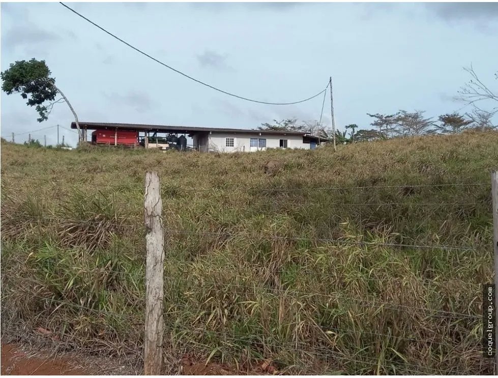 VENTA DE FINCA AGROPECUARIA , LA ATENEA ,AROSEMENA DE LA CHORRERA