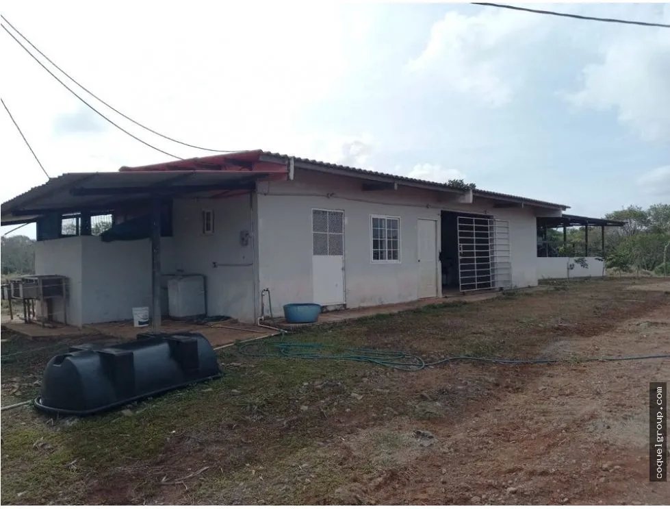 VENTA DE FINCA AGROPECUARIA , LA ATENEA ,AROSEMENA DE LA CHORRERA