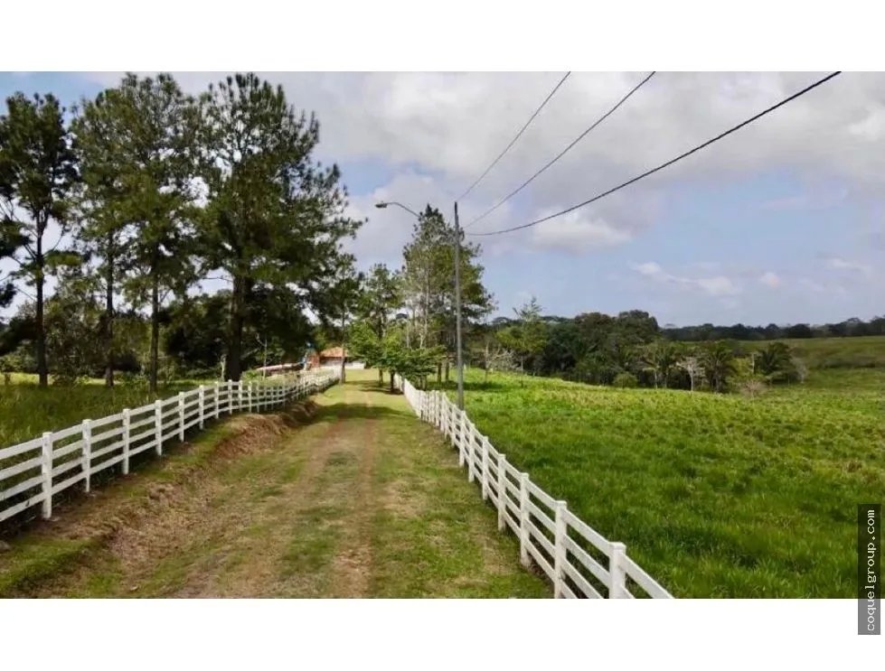 VENTA DE FINCA AGROPECUARIA , LA ATENEA ,AROSEMENA DE LA CHORRERA