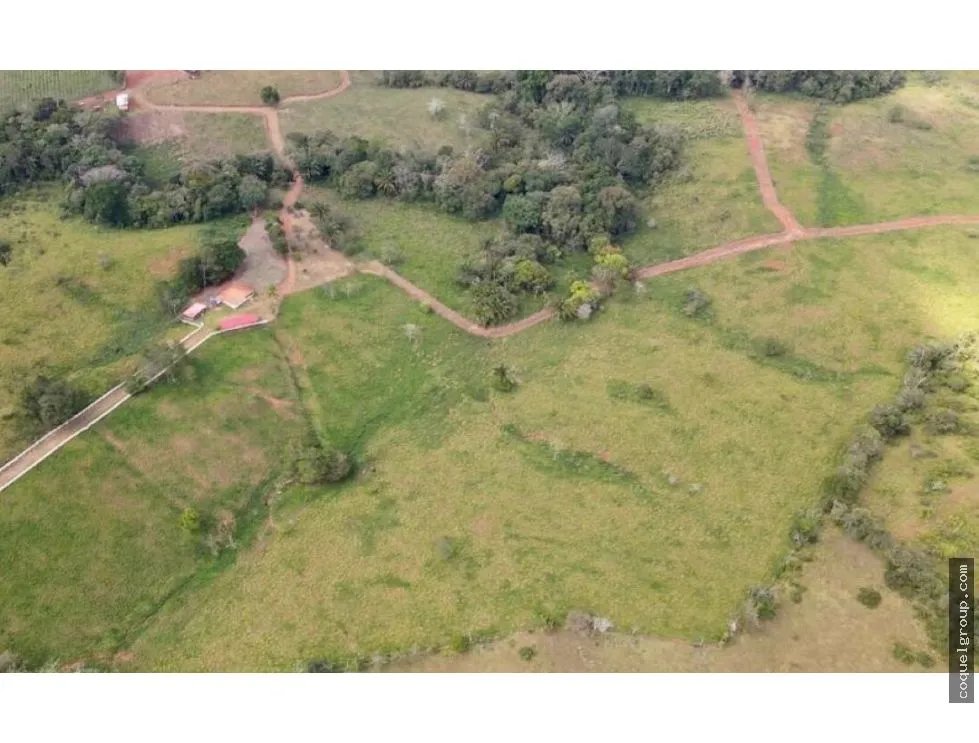 VENTA DE FINCA AGROPECUARIA , LA ATENEA ,AROSEMENA DE LA CHORRERA