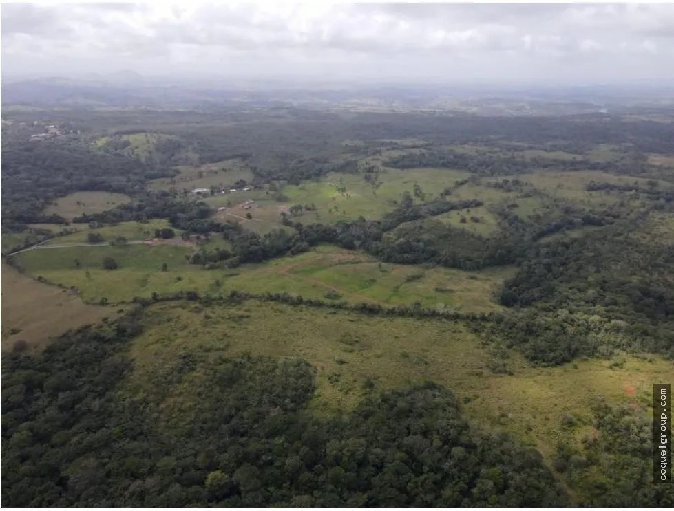VENTA DE FINCA AGROPECUARIA , LA ATENEA ,AROSEMENA DE LA CHORRERA