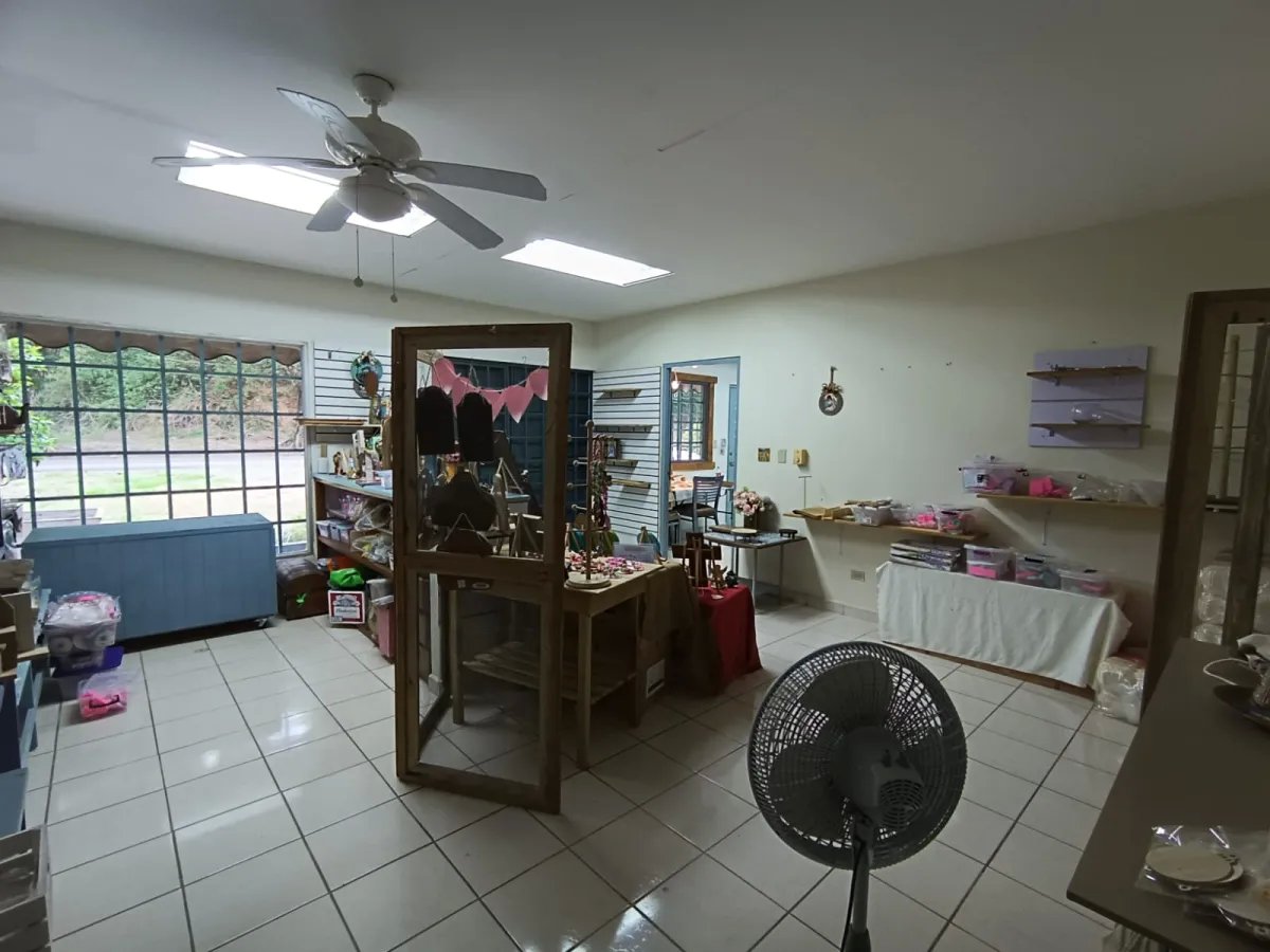 Local comercial en alquiler en Via Boquete David