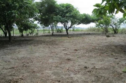 PROPIEDAD FRENTE AL MAR EN VENTA, PLAYA MATA OSCURA, REGIÓN DE VERAGUAS.