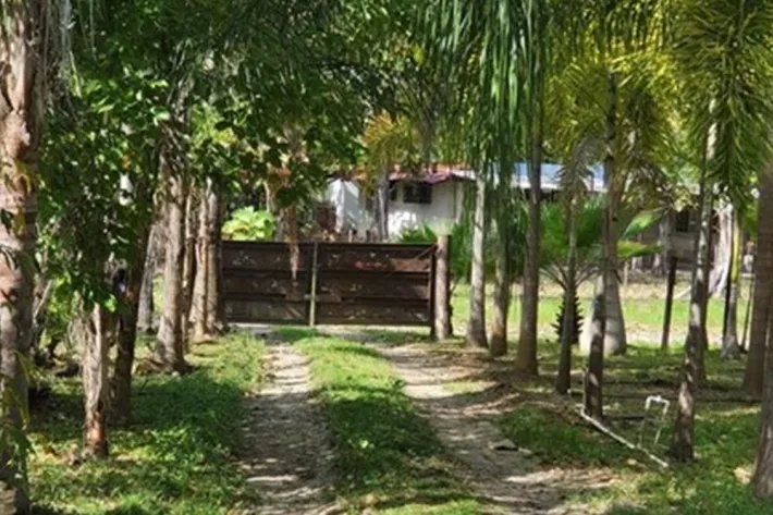 Se vende casa con plantación en Nueva Gorgona, Chame