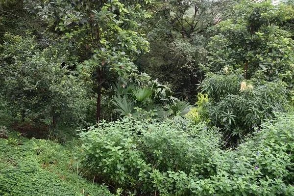 Beautiful house with ocean view in Mariato, Azuero Peninsula