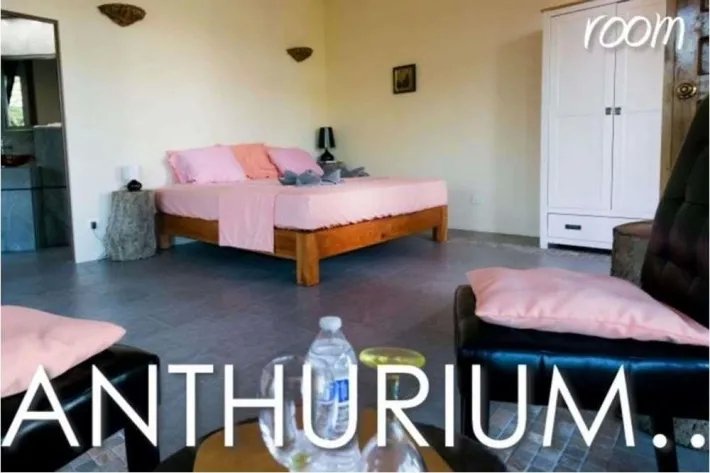For Sale Boutique Beach Hotel in Veraguas