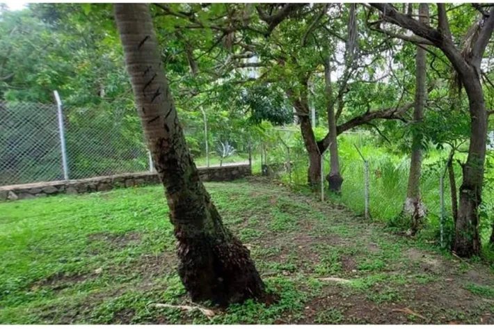 Beachfront Land for Sale in Nueva Gorgona, Chame