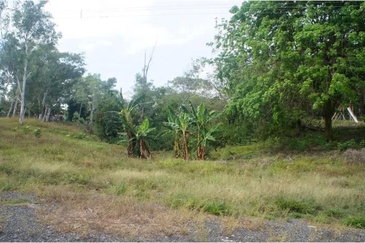 Venta de terreno en San Felix, Chiriquí