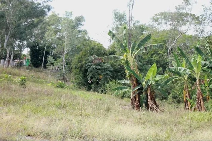 Venta de terreno en San Felix, Chiriquí