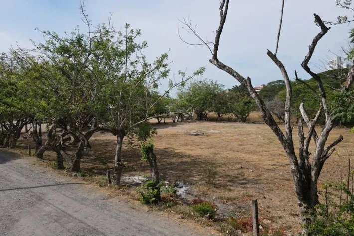Se vende terreno con vista al mar, Nueva Gorgona, Chame