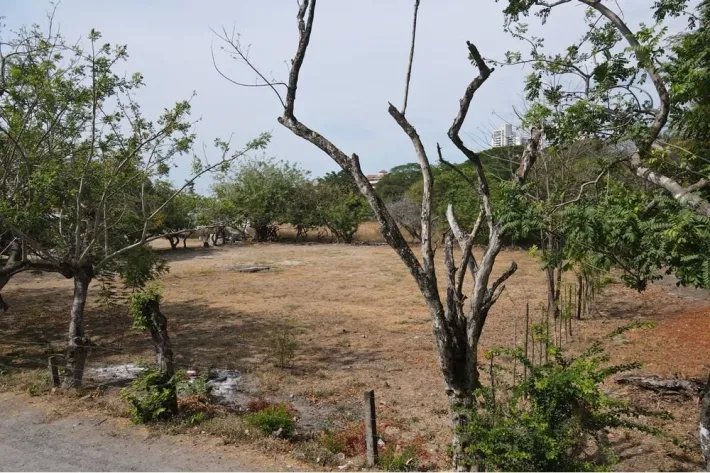 Se vende terreno con vista al mar, Nueva Gorgona, Chame