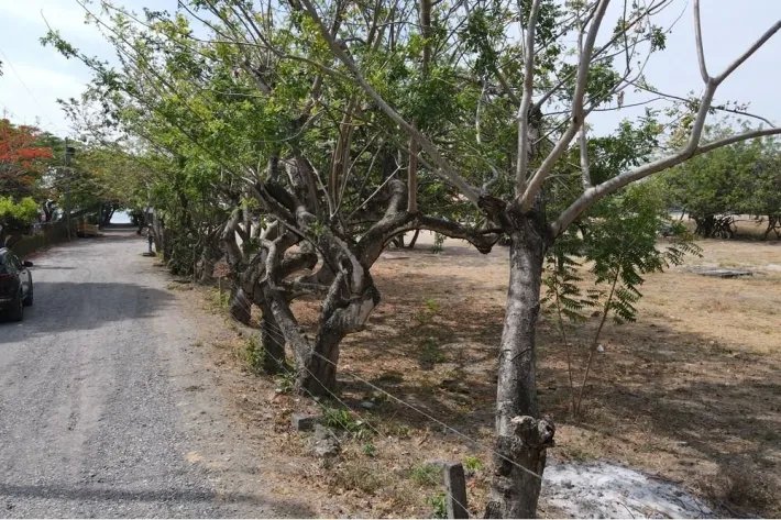 Se vende terreno con vista al mar, Nueva Gorgona, Chame