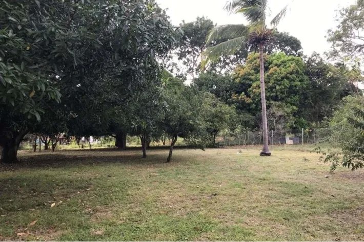Se vende terreno en Gorgona