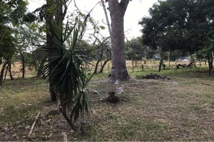 Se vende terreno en Gorgona